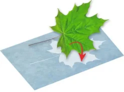 Moses Experimentieren><noscript><img width=