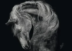 Schmidt Spiele Erwachsenenpuzzle>Power, Pferd, Im Zeichen der Stärke - Puzzle 1000