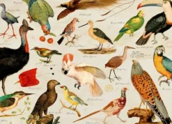 COPPENRATH SPG Erwachsenenpuzzle><noscript><img width=