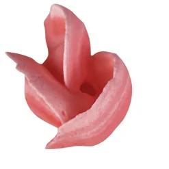 Staedter Gmbh Backzubehör><noscript><img width=