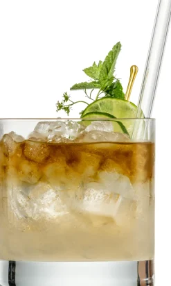 Eisch Barzubehör|Bargläser>Rumcocktail 500/14, 2 Gläser & 2 Glashalme in Gesc