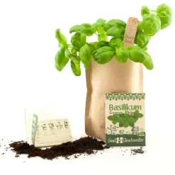 Die Stadtgärtner Geschenkideen>Saatgeschwister Minigarten Basilikum (Bio)