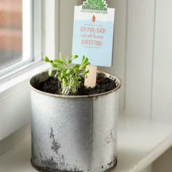 Die Stadtgärtner Geschenkideen><noscript><img width=