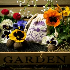 Die Stadtgärtner Geschenkideen><noscript><img width=