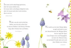 COPPENRATH SPG Geschenkbücher>Schöne Grüße: Folge d. Herzen auf dem Weg zum Glüc