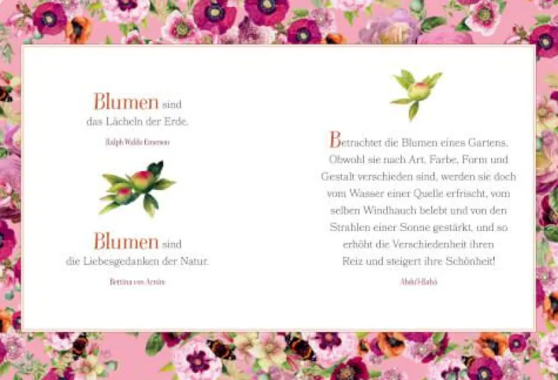 COPPENRATH SPG Geschenkbücher>Schöne Grüße: Für dich soll's bunte Blüten regnen