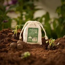 Die Stadtgärtner Geschenkideen>Sonnenblumen Samenbombe Jutebeutel