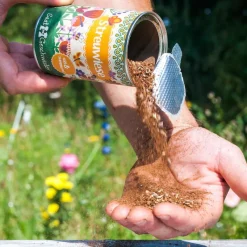 Die Stadtgärtner Geschenkideen>Süß&Summend Streuwiese