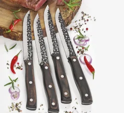 Zassenhaus Edelstahl Und Kunststoff>Steakmesser Hunter 4er-Set