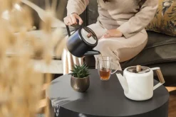 Bredemeijer GmbH Teezubereitung><noscript><img width=