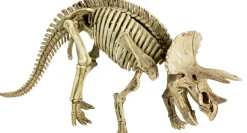 COPPENRATH SPG Experimentieren><noscript><img width=