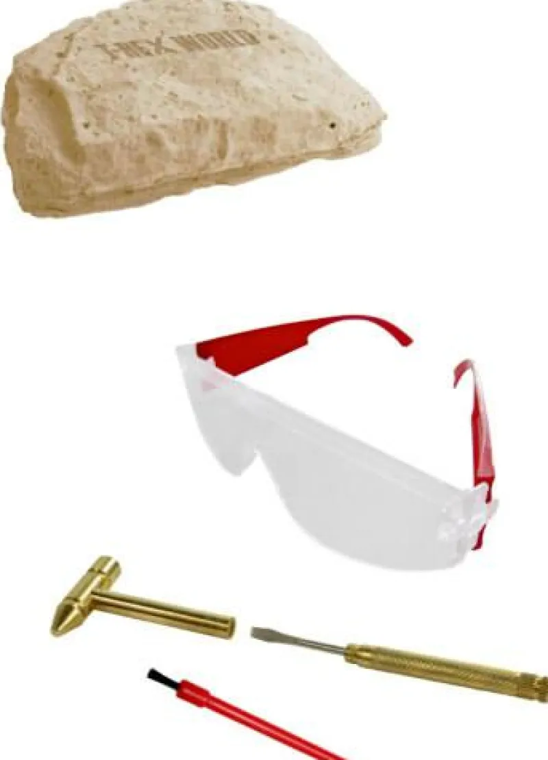 COPPENRATH SPG Basteln>T-Rex World - Großes Ausgrabungsset Triceratops