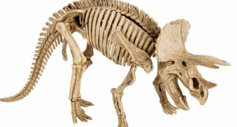 COPPENRATH SPG Basteln>T-Rex World - Großes Ausgrabungsset Triceratops