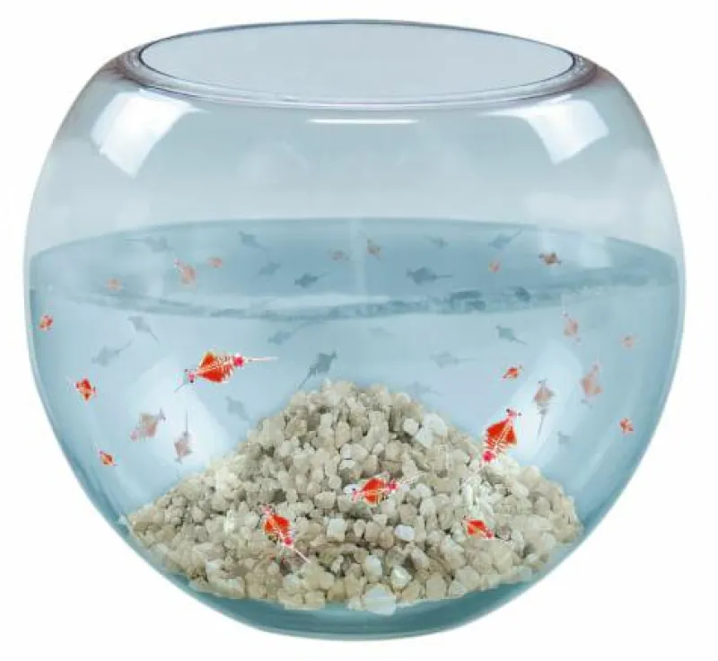 COPPENRATH SPG Experimentieren>T-Rex World - Urzeitkrebse