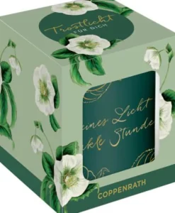 COPPENRATH SPG Kerzen, Leuchter Und Zubehör>Trostwindlicht kleines Licht für dunkle Stunden