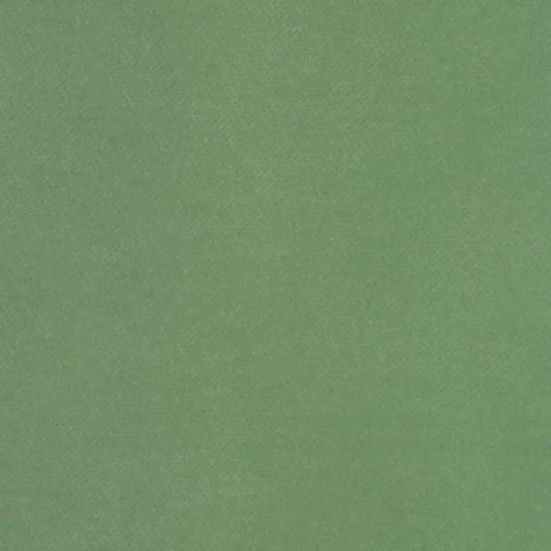 IHR Servietten|Servietten Und Serviettenringe>Uni Green Vlies Dinner-Servietten VD 9020
