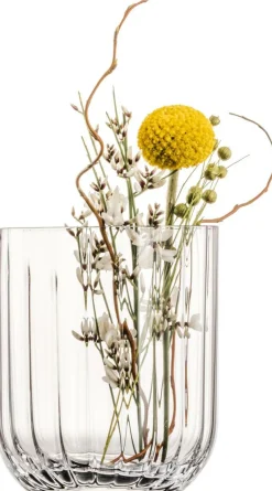 Zwiesel Kristallglas AG Vasen><noscript><img width=