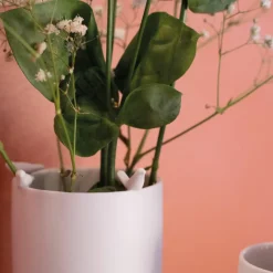 Räder Vasen><noscript><img width=