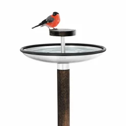 Blomus Dekoration Für Garten Und Terrasse><noscript><img width=