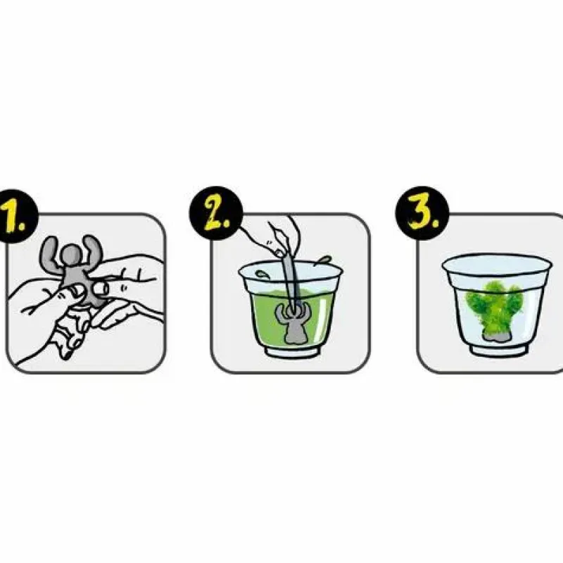 COPPENRATH SPG Experimentieren>Wild & Cool - Kristalle selber züchten Kreativ-Box