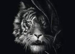 Schmidt Spiele Erwachsenenpuzzle>Wilderness, Tiger, Im Zeichen der Freiheit - Puzzl