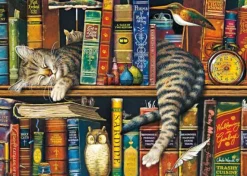 Schmidt Spiele Erwachsenenpuzzle>Wysocki: Frederick der Literat - Puzzle 1000 Teile