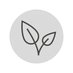 WMF GmbH Kaffeezubehör><noscript><img width=