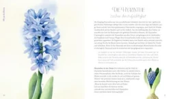 COPPENRATH SPG Geschenkbücher><noscript><img width=